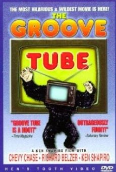 The Groove Tube online streaming