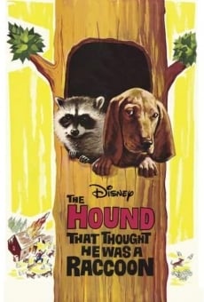 The Hound That Thought He Was a Raccoon on-line gratuito