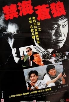 Jin hai cang lang (1991)