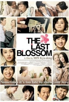 Película: The Last Blossom