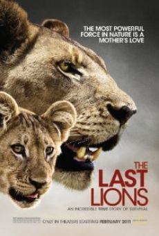 The Last Lions online streaming