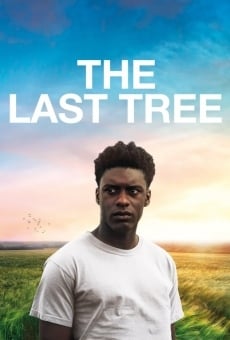 The Last Tree online streaming