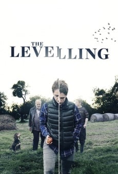 The Levelling online streaming