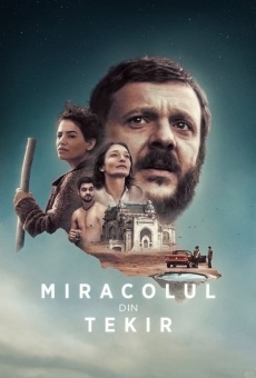 Miracolul din Tekir (2015)