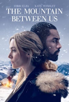 The Mountain Between Us (2017)