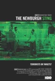 The Newburgh Sting online streaming