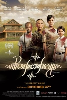 The Perfect House online streaming