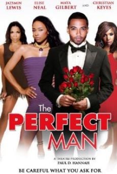Película: The Perfect Man