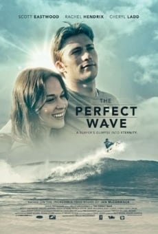 Película: The Perfect Wave