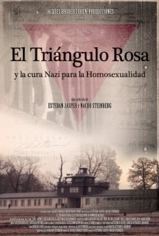 Película: El triángulo rosa y la cura nazi de la homosexualidad