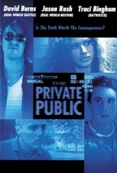 The Private Public online streaming