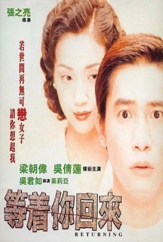 Dang cheuk nei wooi loi (1994)
