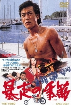 Boso no kisetsu (1976)