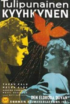Tulipunainen kyyhkynen (1961)