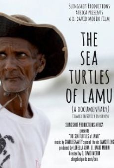 The Sea Turtles of Lamu