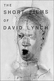 The Short Films of David Lynch online streaming