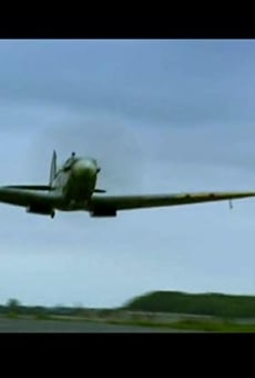 The Spitfire: Britain's Flying Past