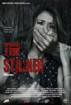 The Stalker (2013)