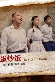 The Story of David en ligne gratuit