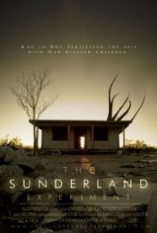 The Sunderland Experiment gratis