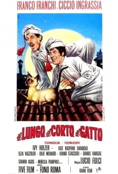 Il lungo, il corto, il gatto gratis