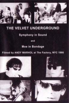 Película: The Velvet Underground and Nico