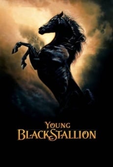 Young Black Stallion online streaming