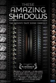 These Amazing Shadows online streaming