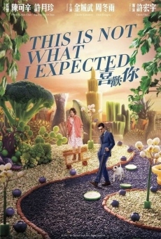 Película: This Is Not What I Expected