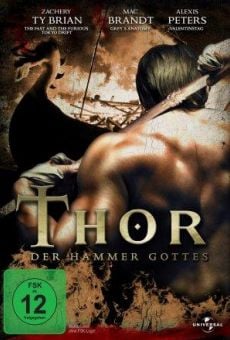 Película: Thor: Martillo de los dioses