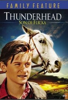 Thunderhead, son of Flicka on-line gratuito