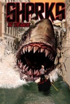 Shark in Venice gratis