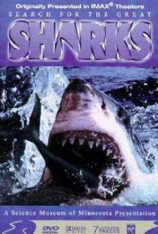 Search for the Great Sharks online streaming