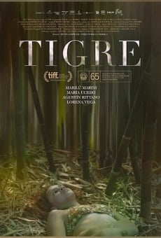 Tigre on-line gratuito