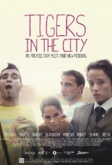 Tigre v meste (2012)
