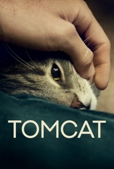 Tomcat online streaming