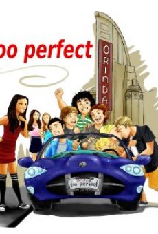 Too Perfect (2011)