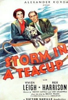 Storm in a Teacup stream online deutsch