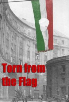 Película: Torn from the Flag: A Film by Klaudia Kovacs