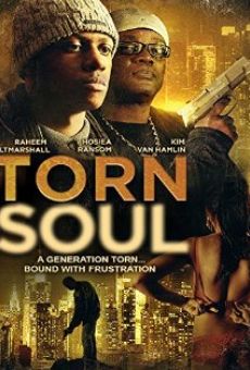 TORN/Vii online free