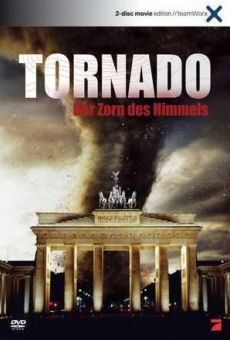 Película: Tornado: La furia del cielo