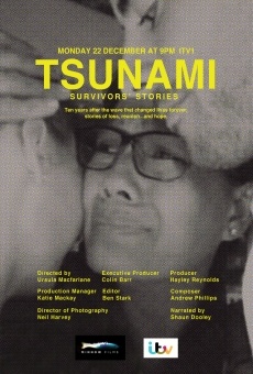 Tsunami: Survivors' Stories (2014)
