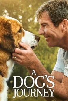 A Dog's Journey (2019)