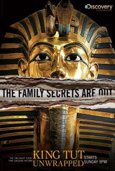 King Tut Unwrapped online free