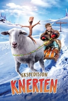 Ekspedisjon Knerten online streaming