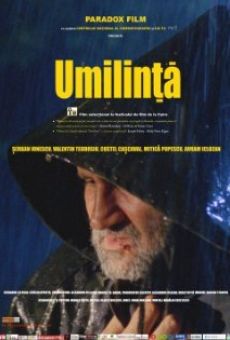 Umilinta on-line gratuito