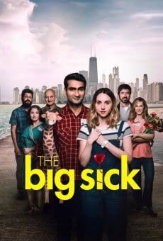 The Big Sick online streaming
