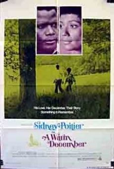 A Warm December (1973)