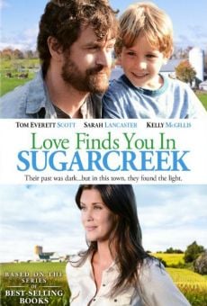 Película: Un extraño en Sugarcreek