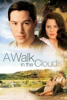 Película: Un paseo por las nubes